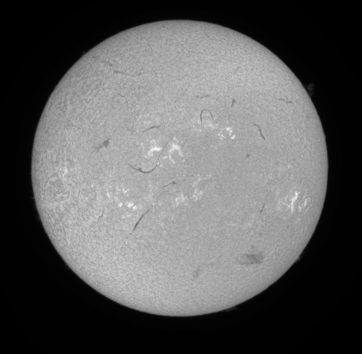 OB1 180626 A.jpg