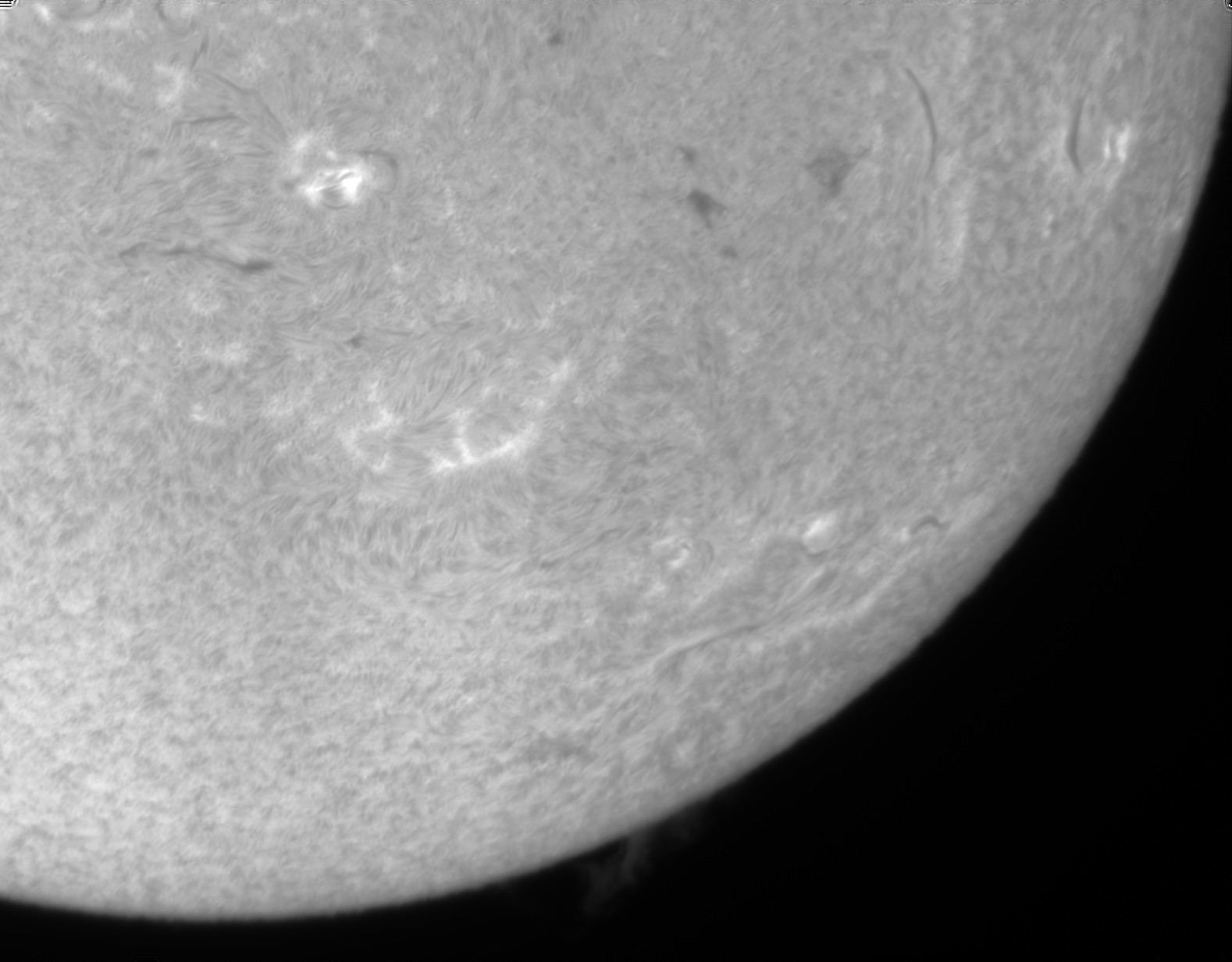 OB10 270526 BC.jpg