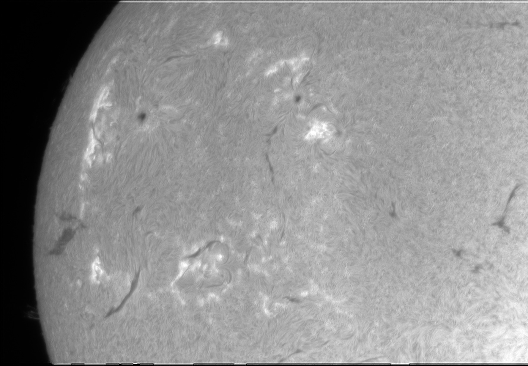 OB5 250526.tif BC.jpg