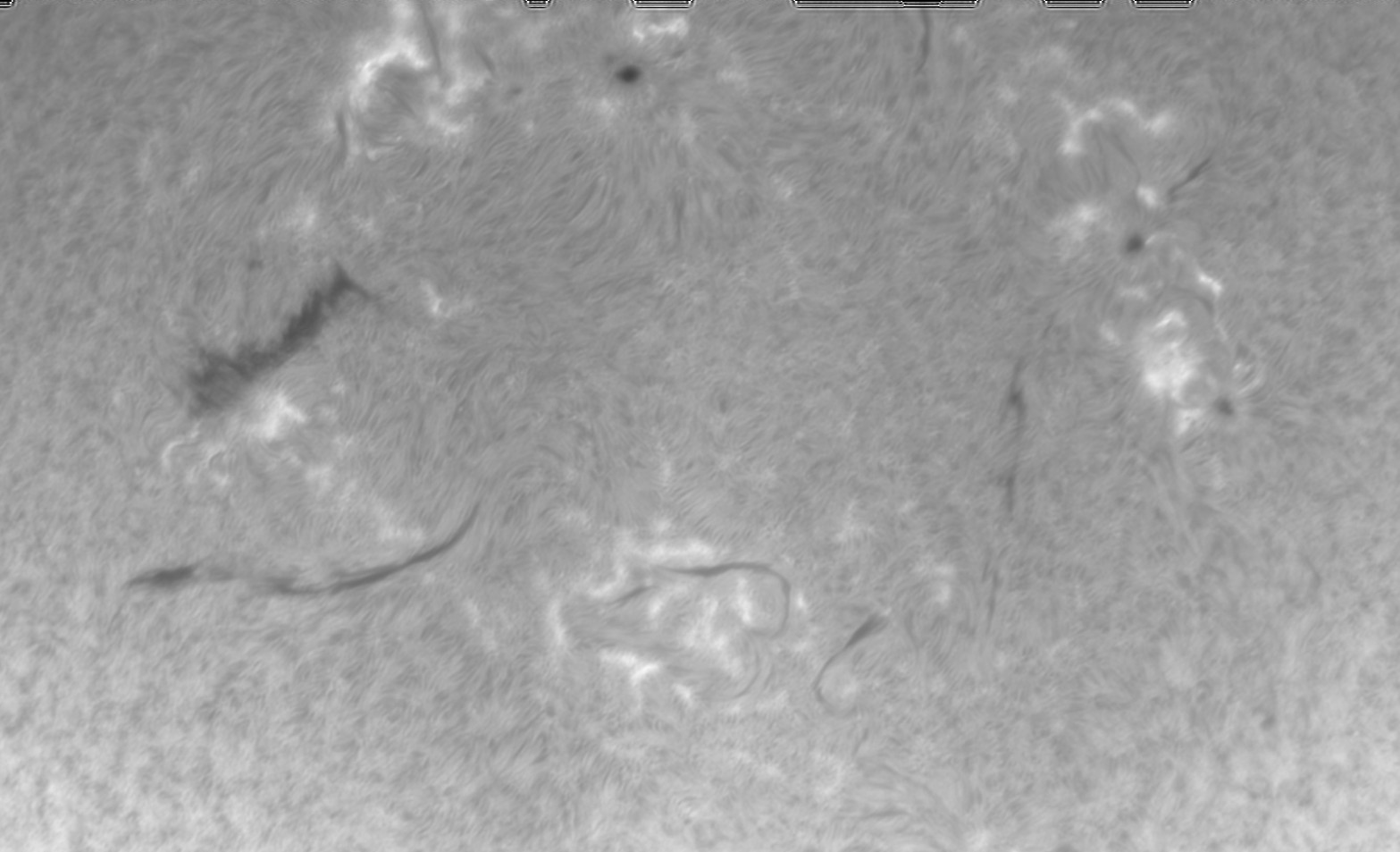 OB8 270526 BC.jpg