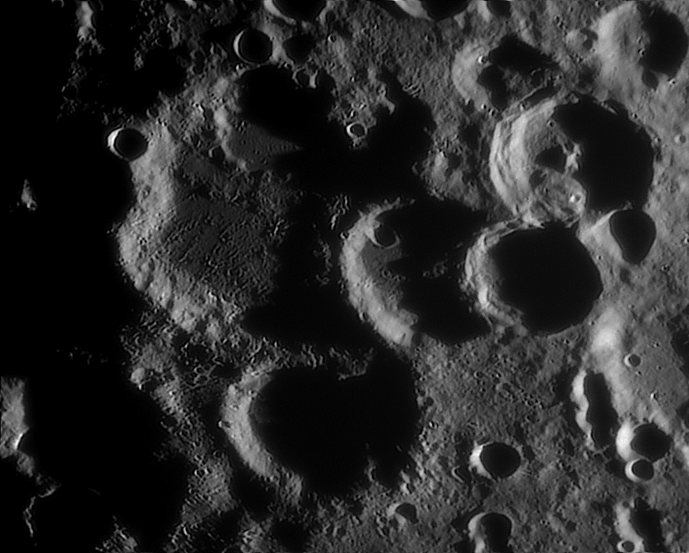 orontius-ani-070325v.gif