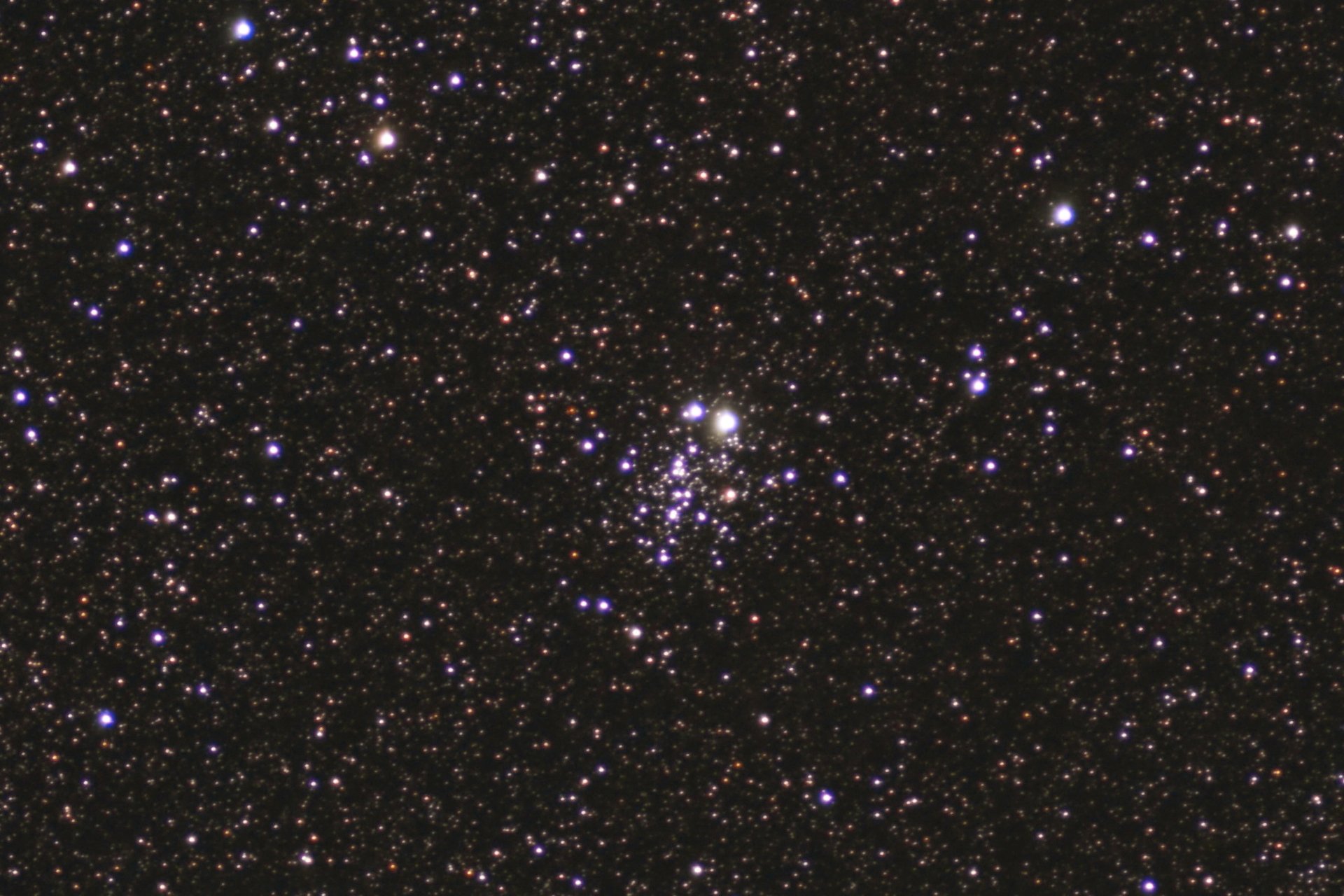 owl cluster crop gal.jpg