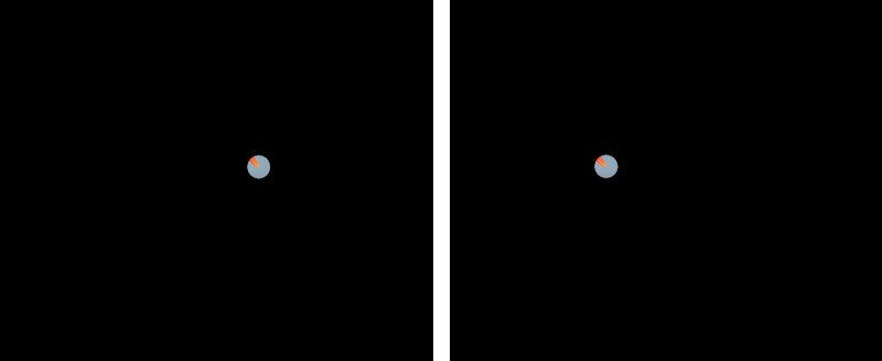 Oystercatcher_02_keypoints.png