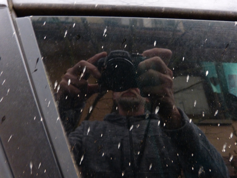 P1000700_vga.jpg