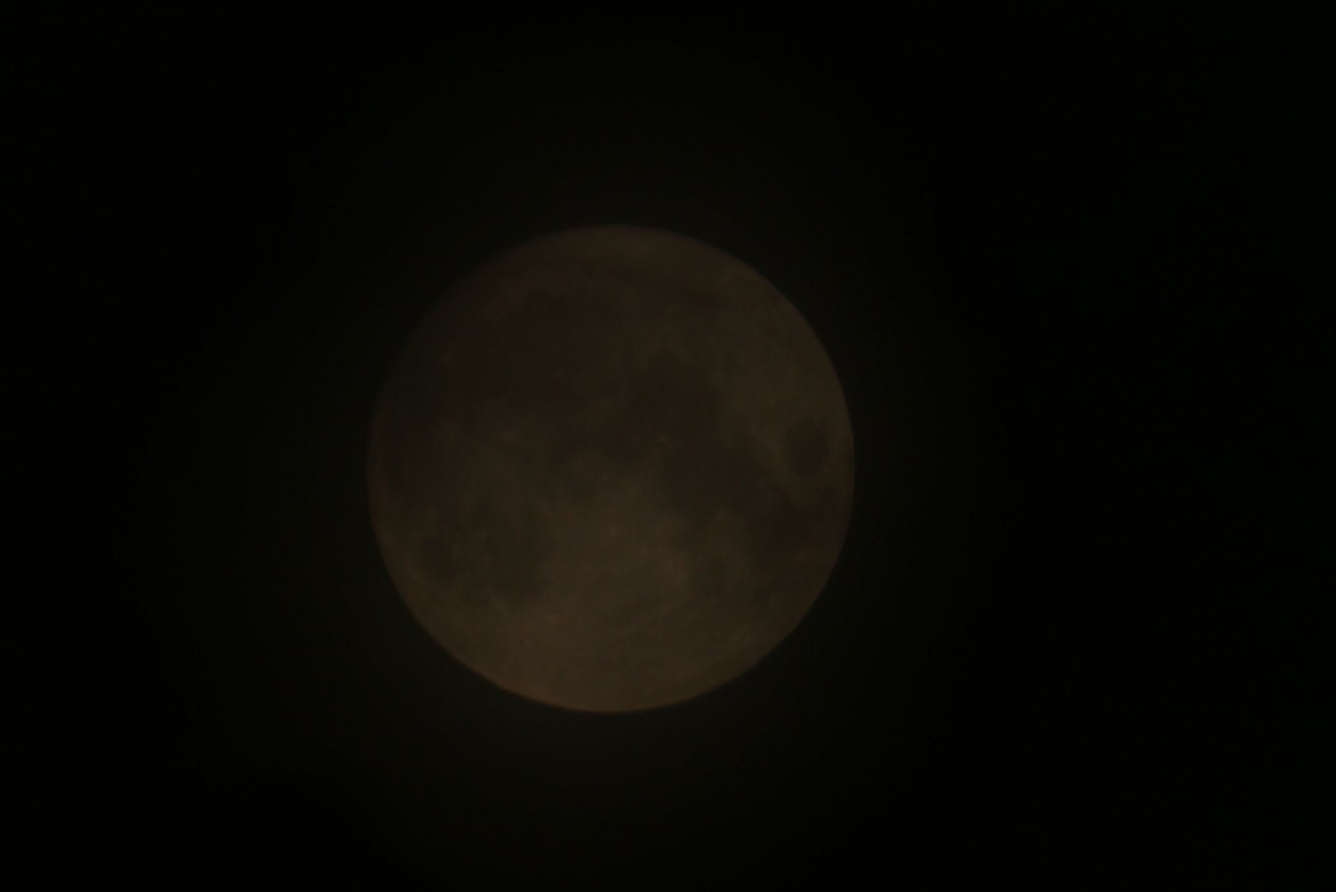 P1080567.JPG