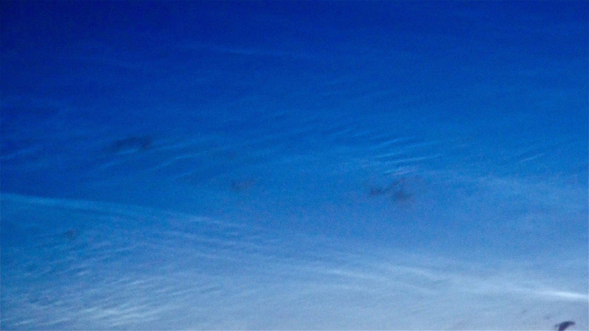 P1090684.JPG