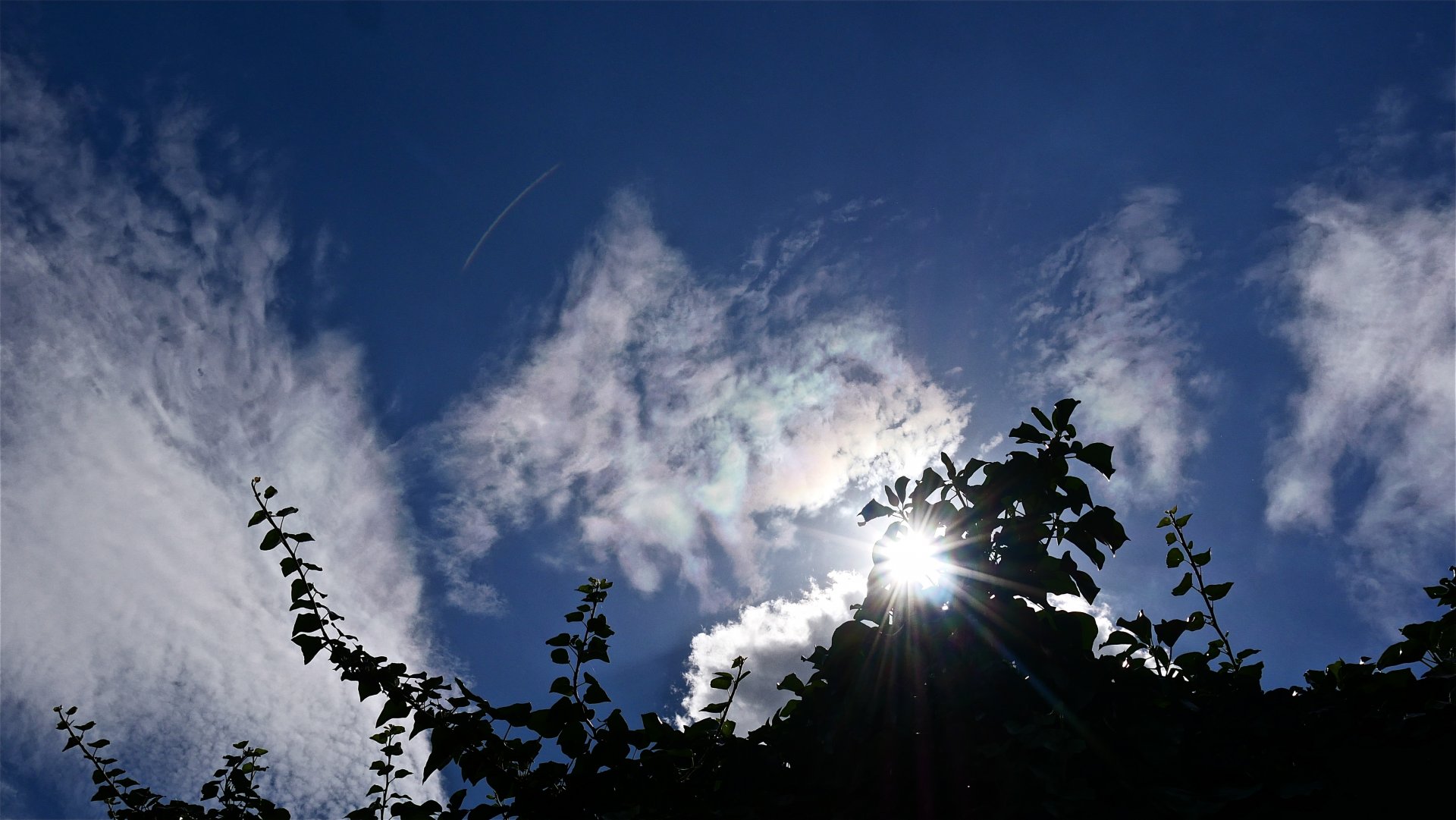 P1090753.JPG