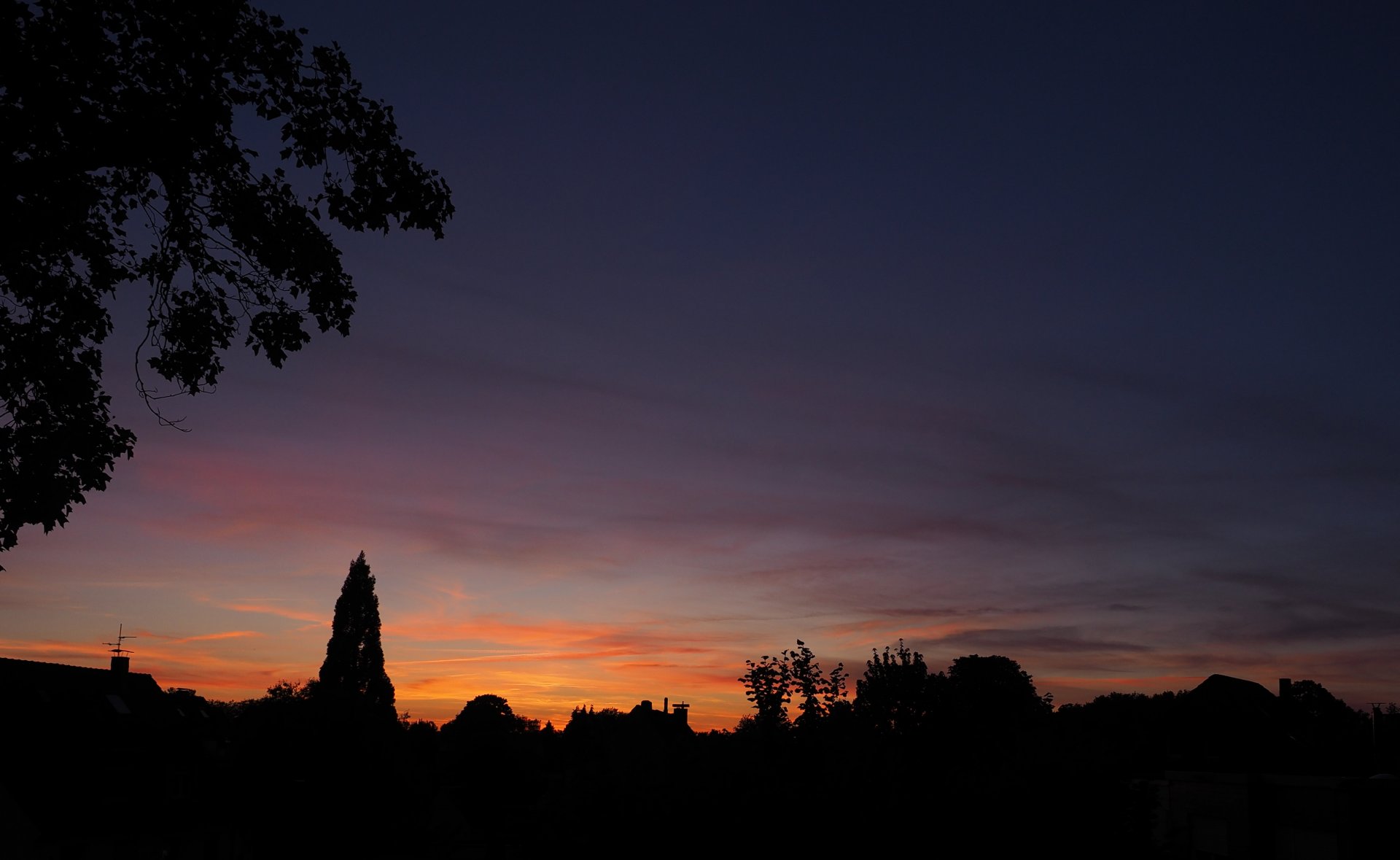 P5290692 (2).jpg