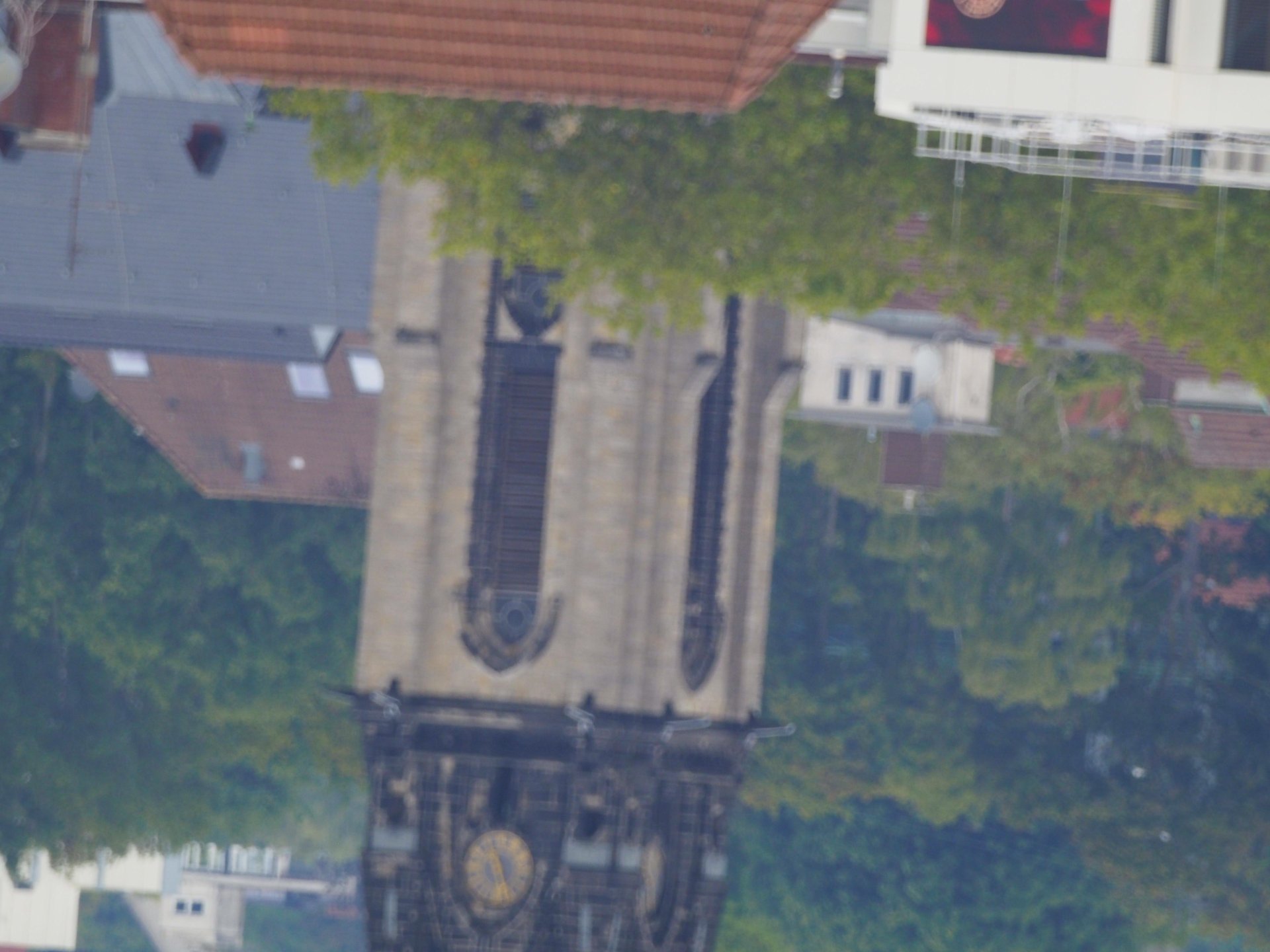 p6.jpg