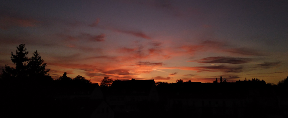 panorama_240503.jpg