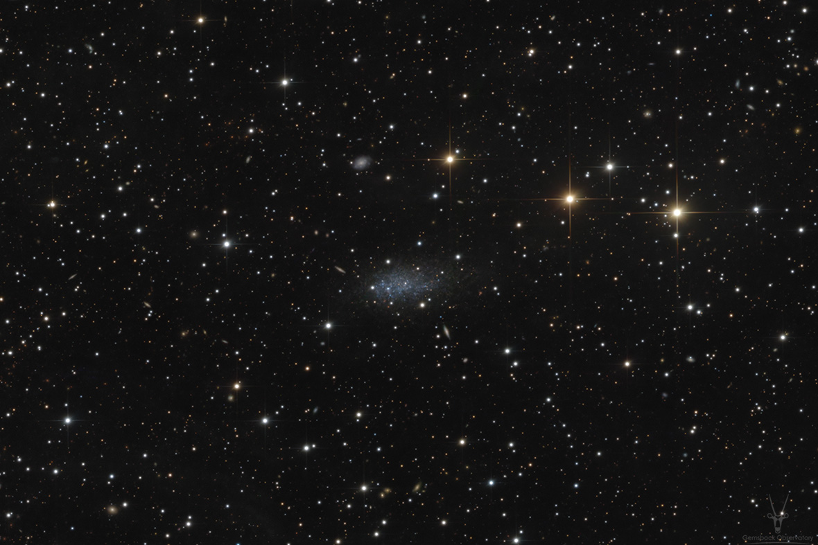 pgc65367_gemsbock_cdk_1180px.jpg