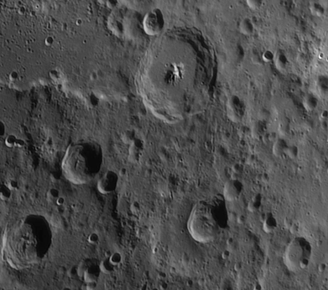 Piccolomini.jpg