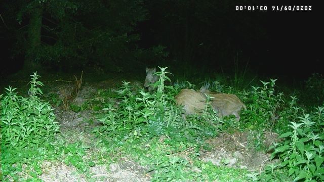 PICT7826 (640x360).jpg