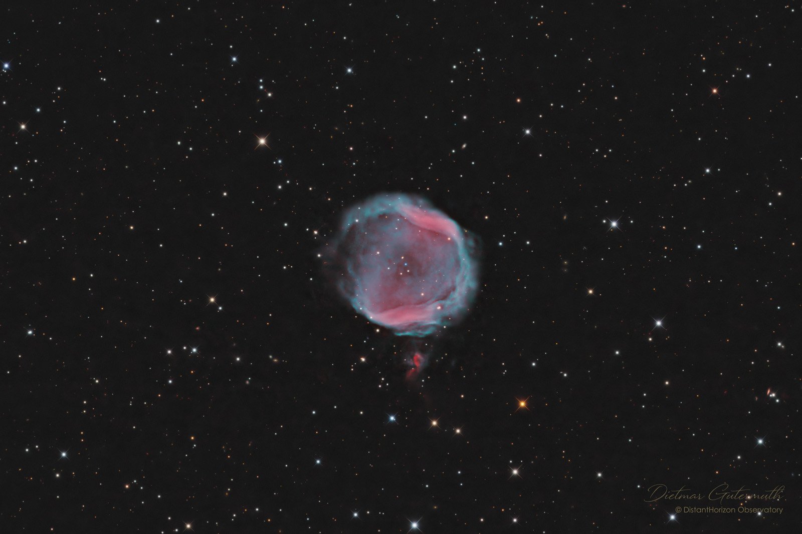 PK104-29-1_HOO-RGB_klein.jpg