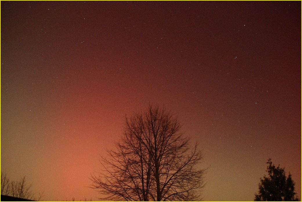 PL_260119_06.jpg