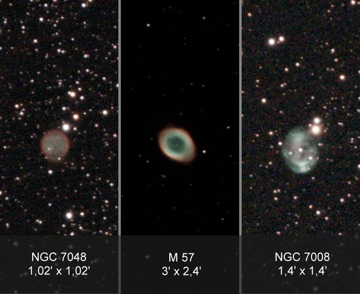 PN sizes compared.jpg