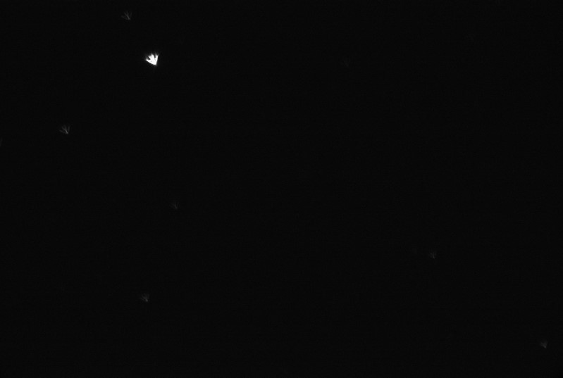 polaris_00001.jpg