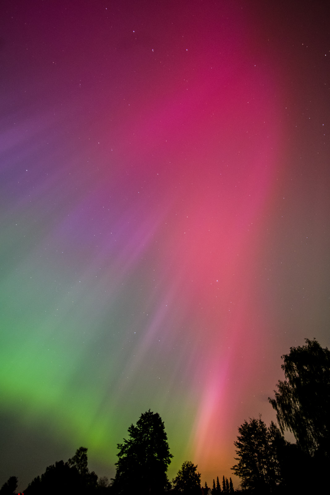 Polarlicht_240511_6078.jpg