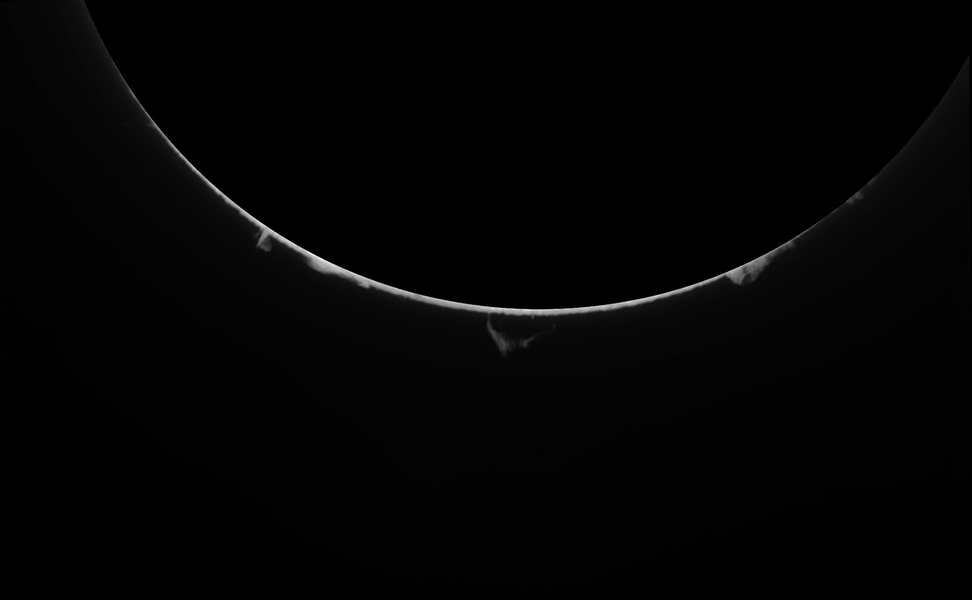 Pro 1 071125.jpg