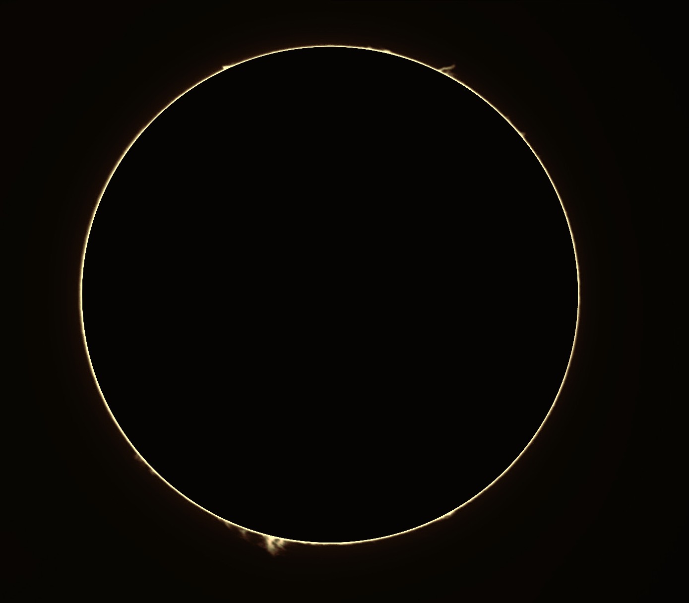 PRO 1 090526 BC.jpg