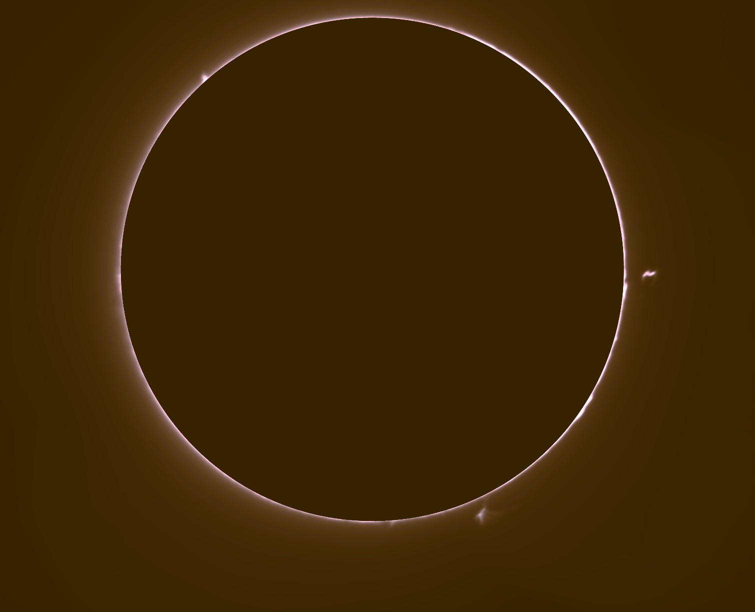 PROTU 1 010826 g.jpg