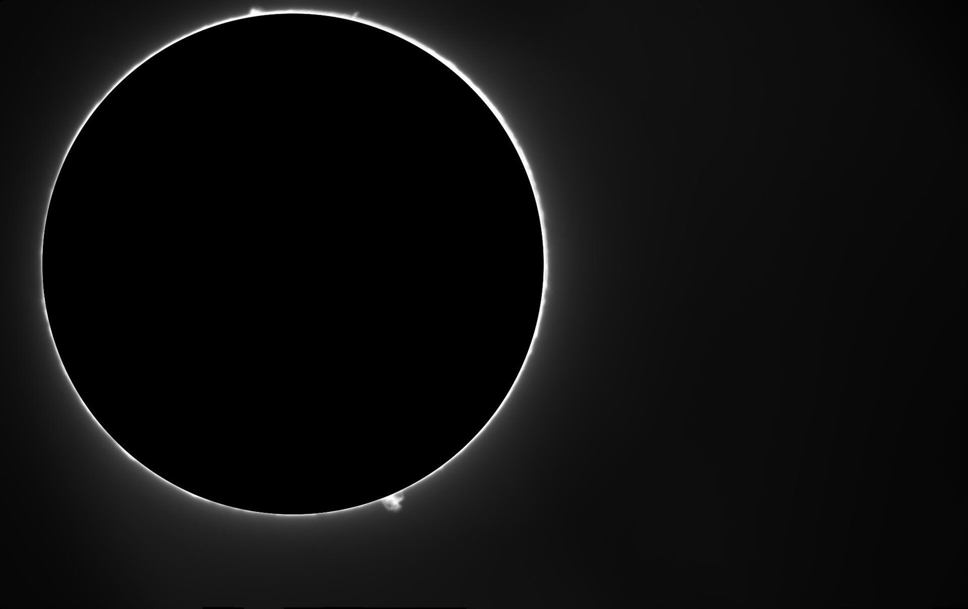 PROTU 1 220426.jpg