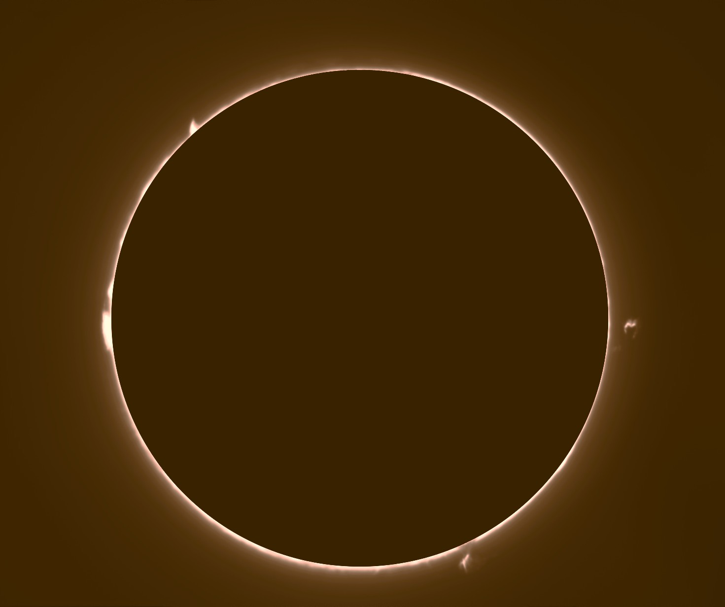 PROTU 2 010826 f.jpg