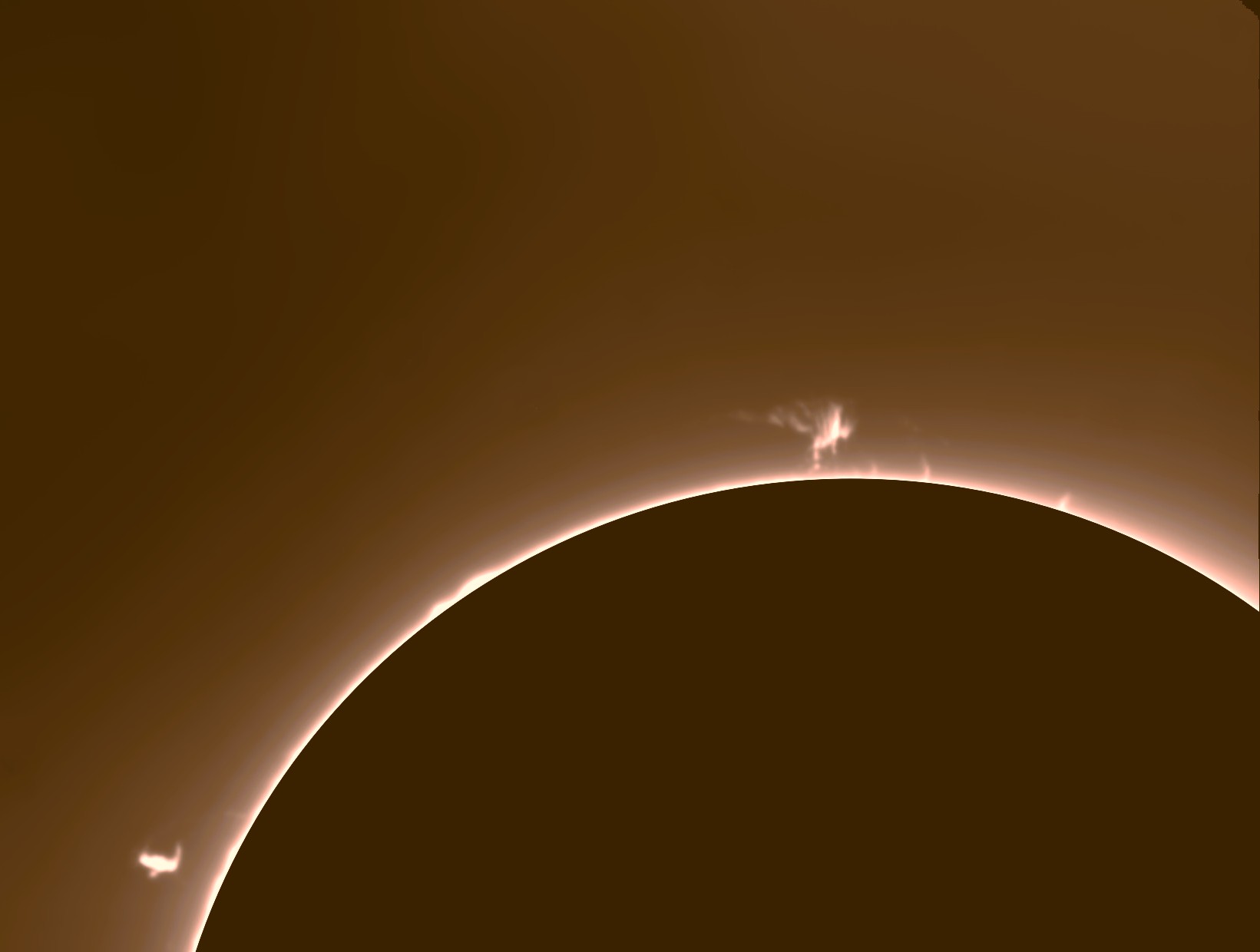 PROTU 4 010826 A.jpg