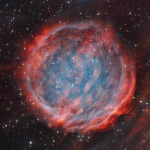 puwe1-btb-p.jpg