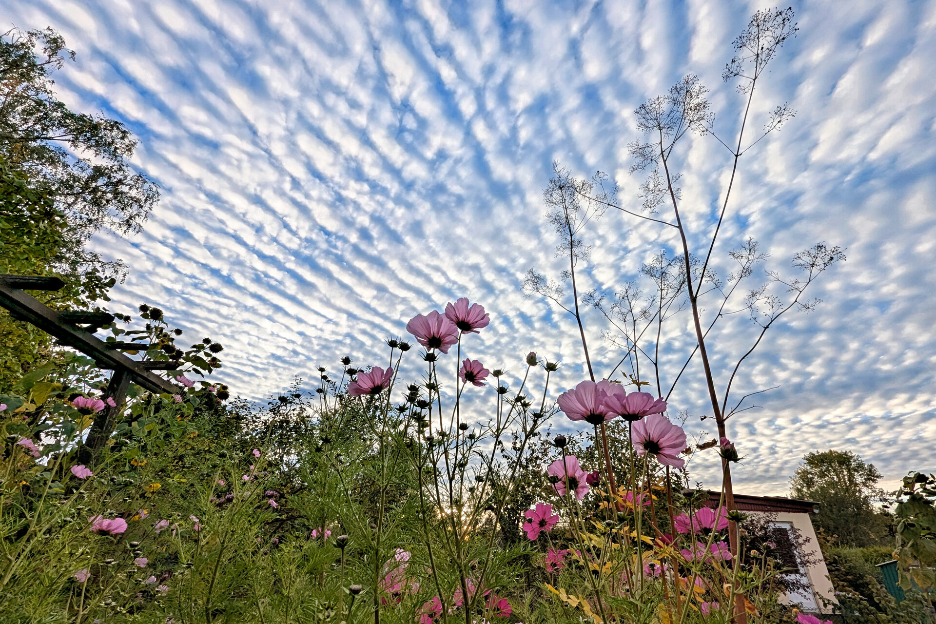 PXL_20261015_  ns.jpg