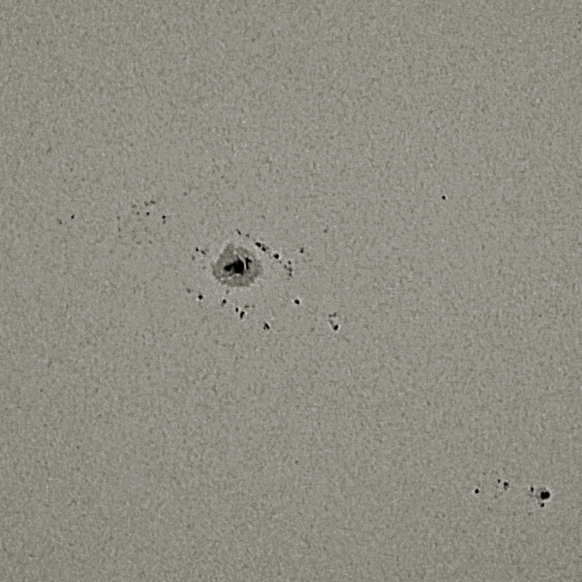 R6__5554_--RG-1.4--_AS_F8_lapl3_ap9564_NoDriz   ndet2.jpg