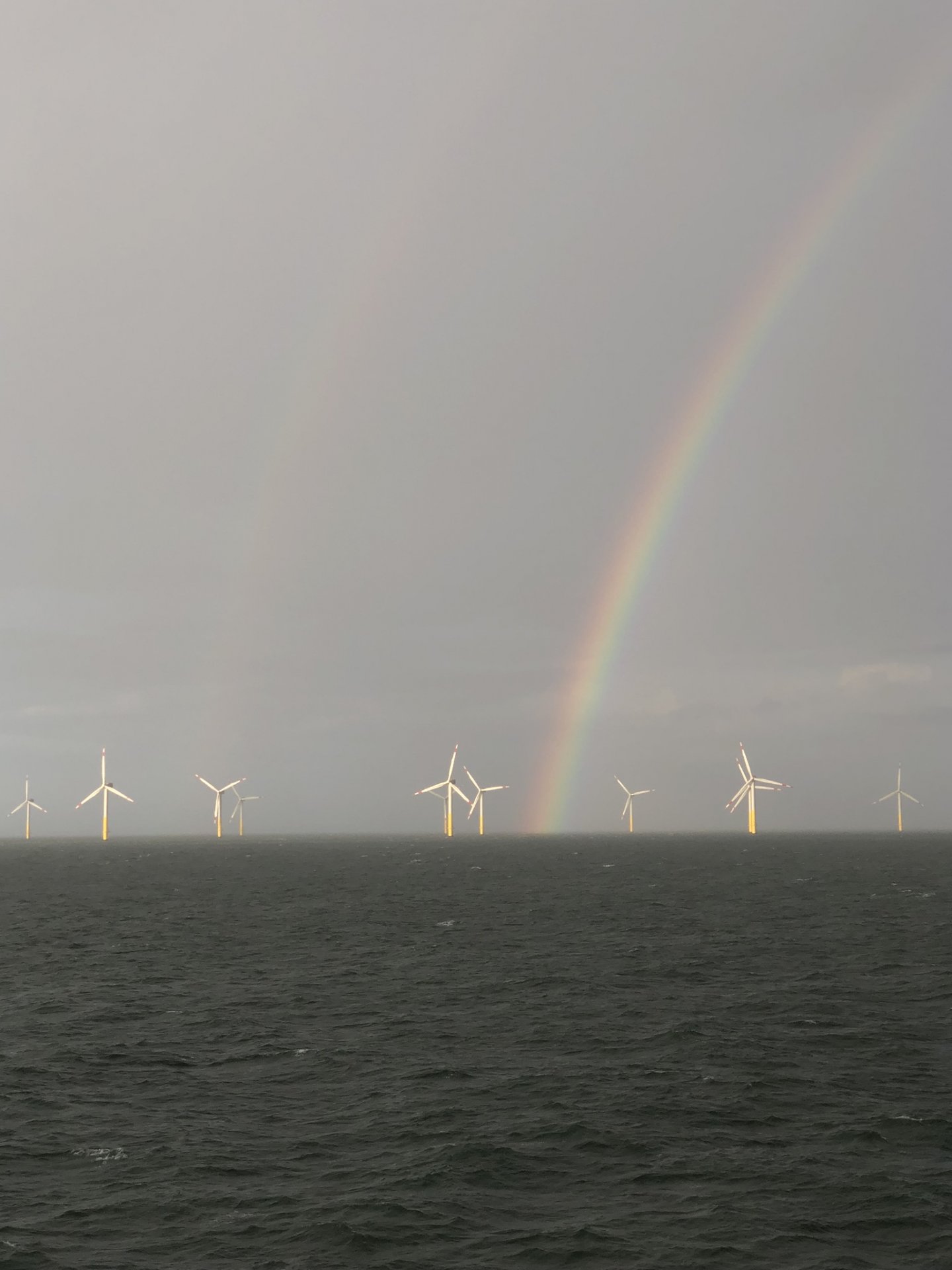 rainbow.JPEG
