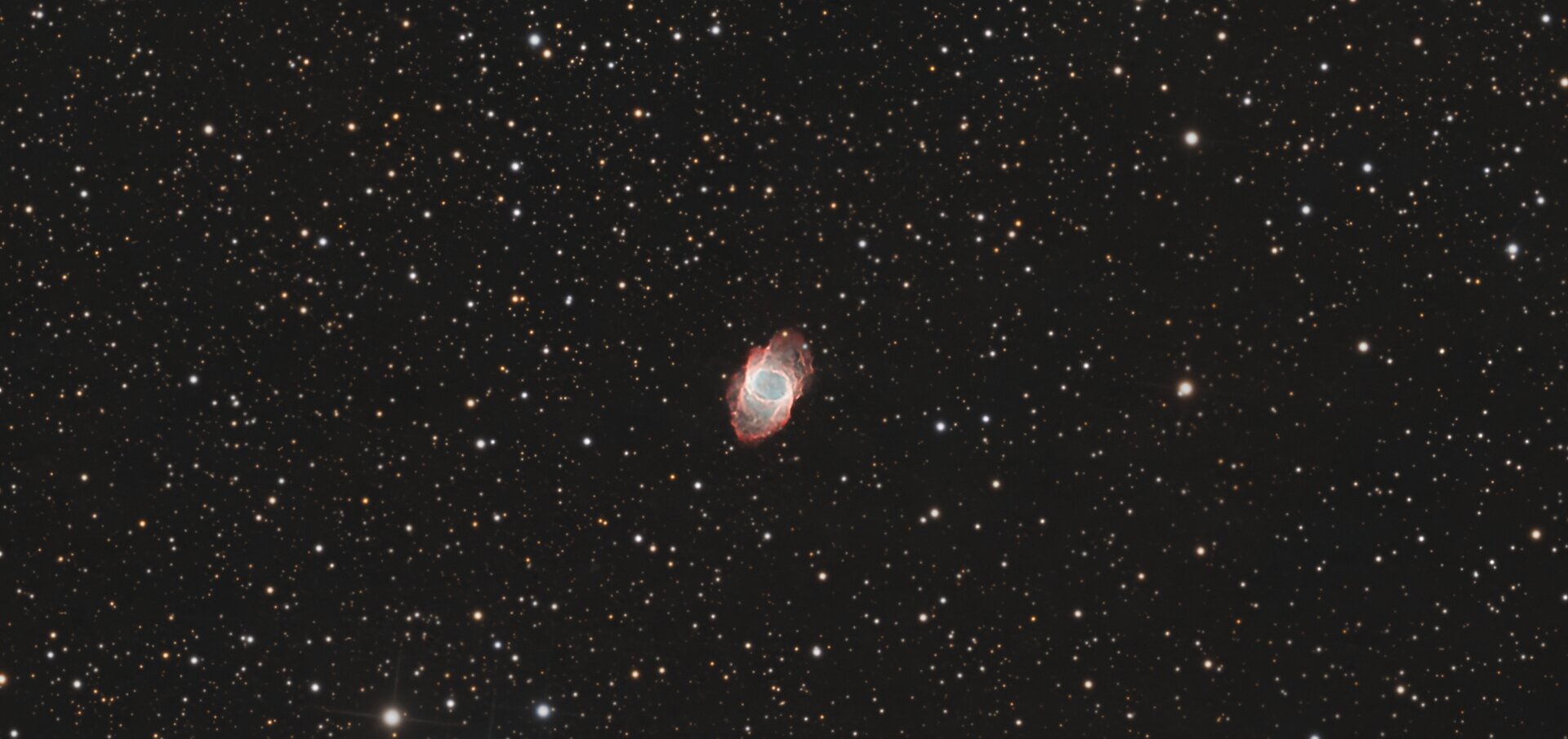 RCW 93-Mz 1 - Namibia 2026 - crop 1.jpg