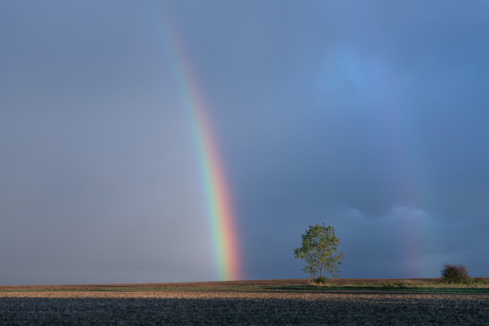 Regenbogen-Gelmeroda 2021-10-06  1K.JPG