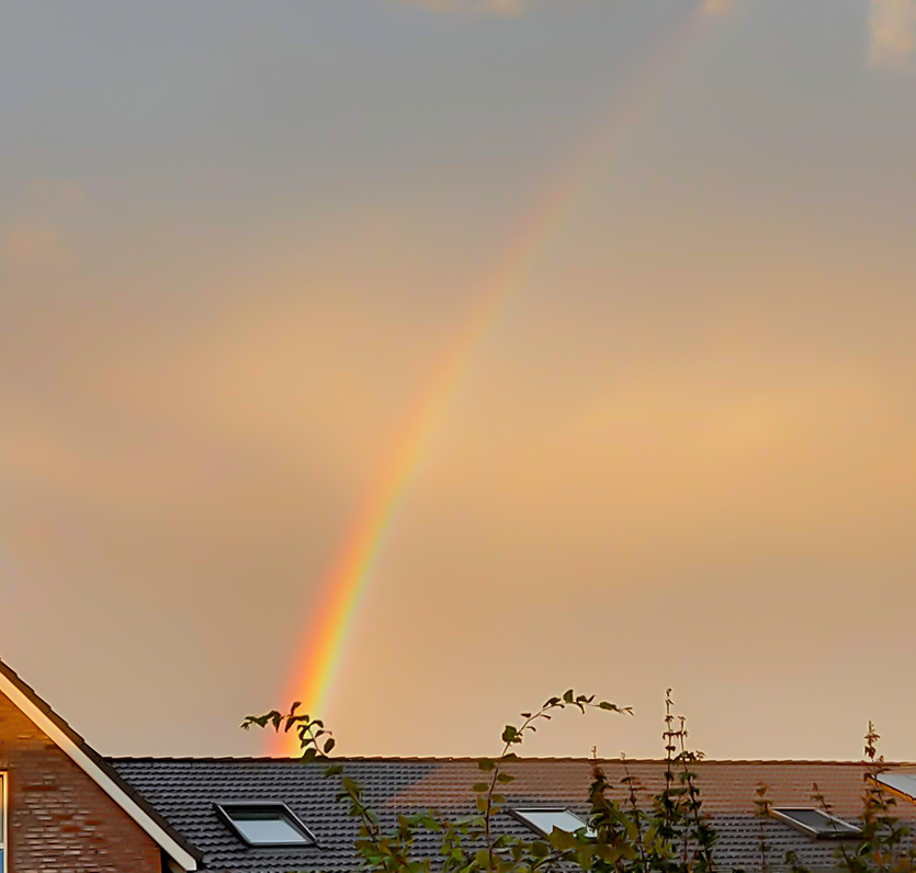 Regenbogen Handy.jpg