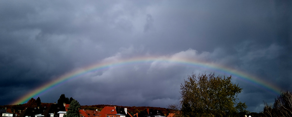 regenbogen.jpg