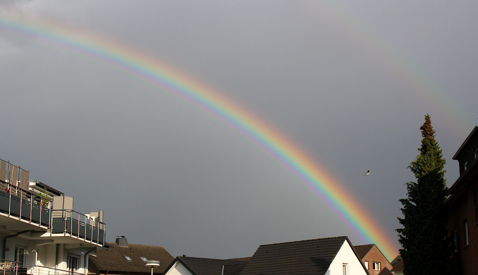 regenbogen_7141-1920s2c.JPG
