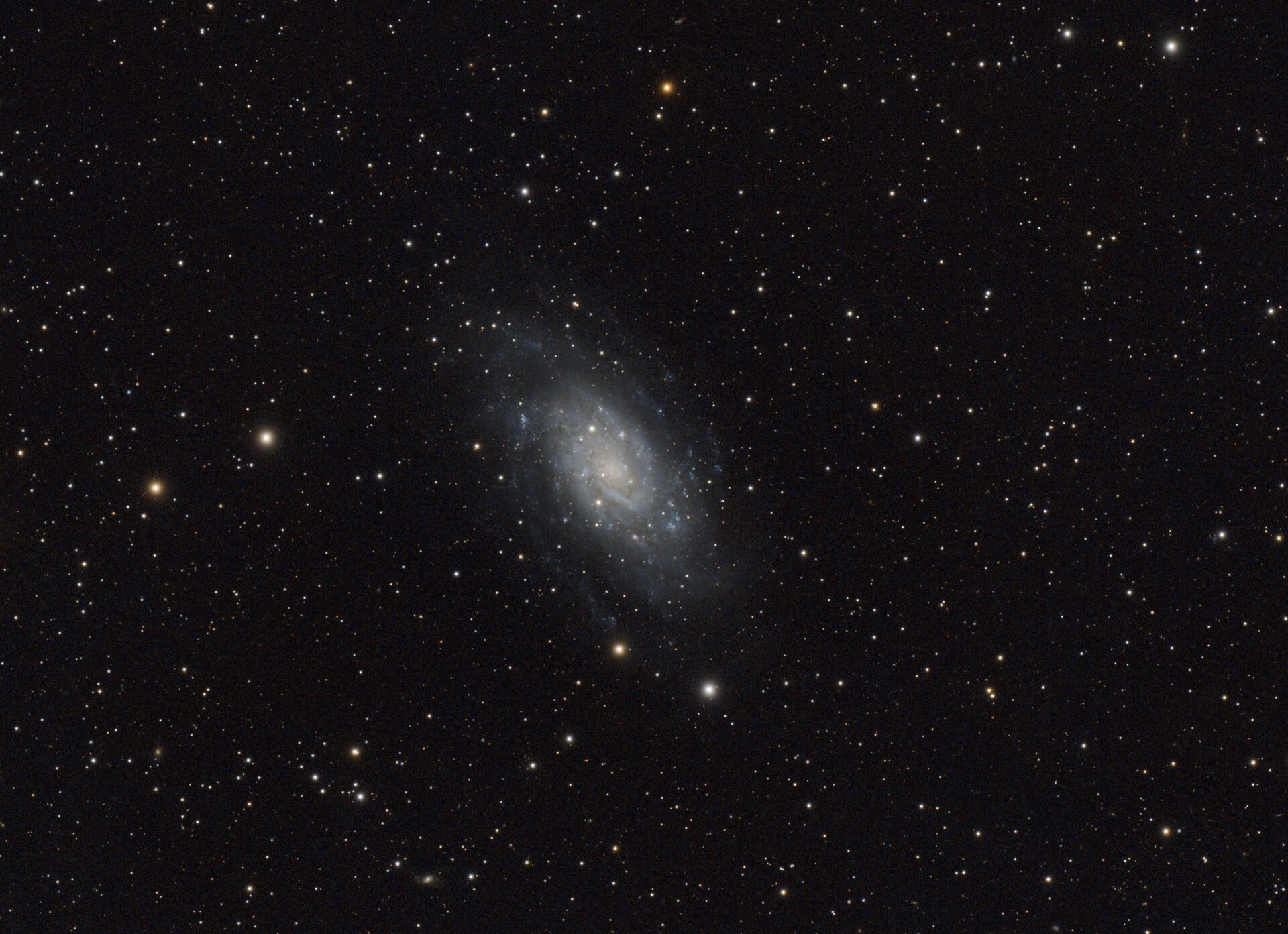 result_NGC 2403 - denoised.jpeg