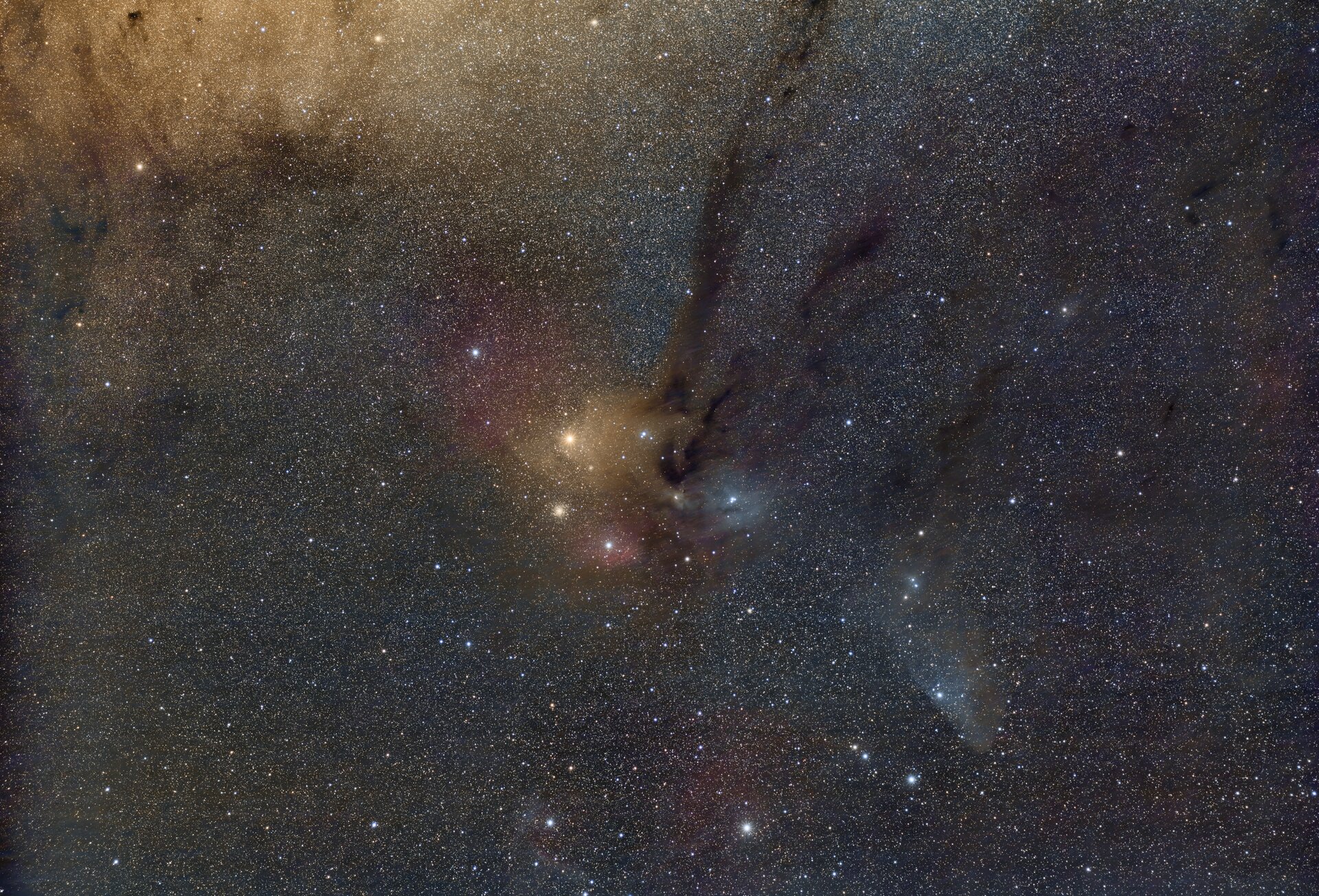 Rho-Ophiuchi_50mm_2_Std-2.jpg