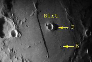 rima_birt.jpg