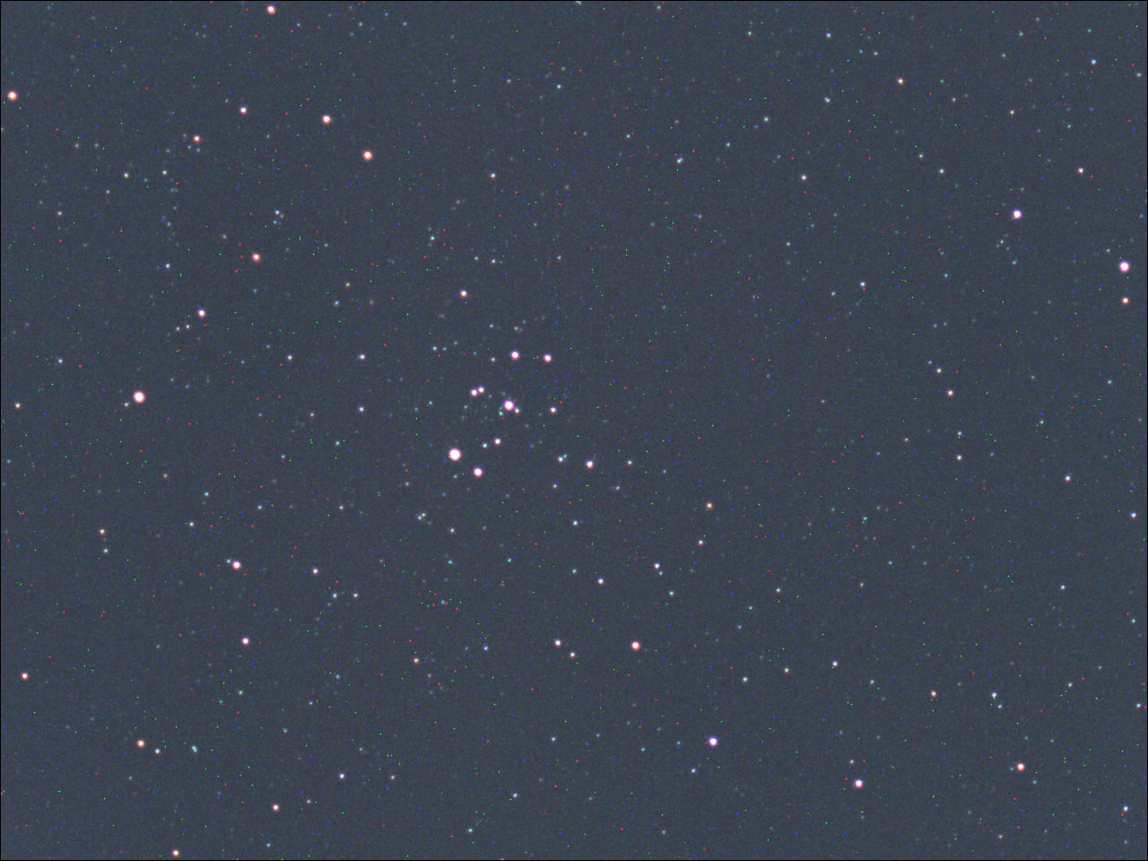 rosette-010323d0006.jpg