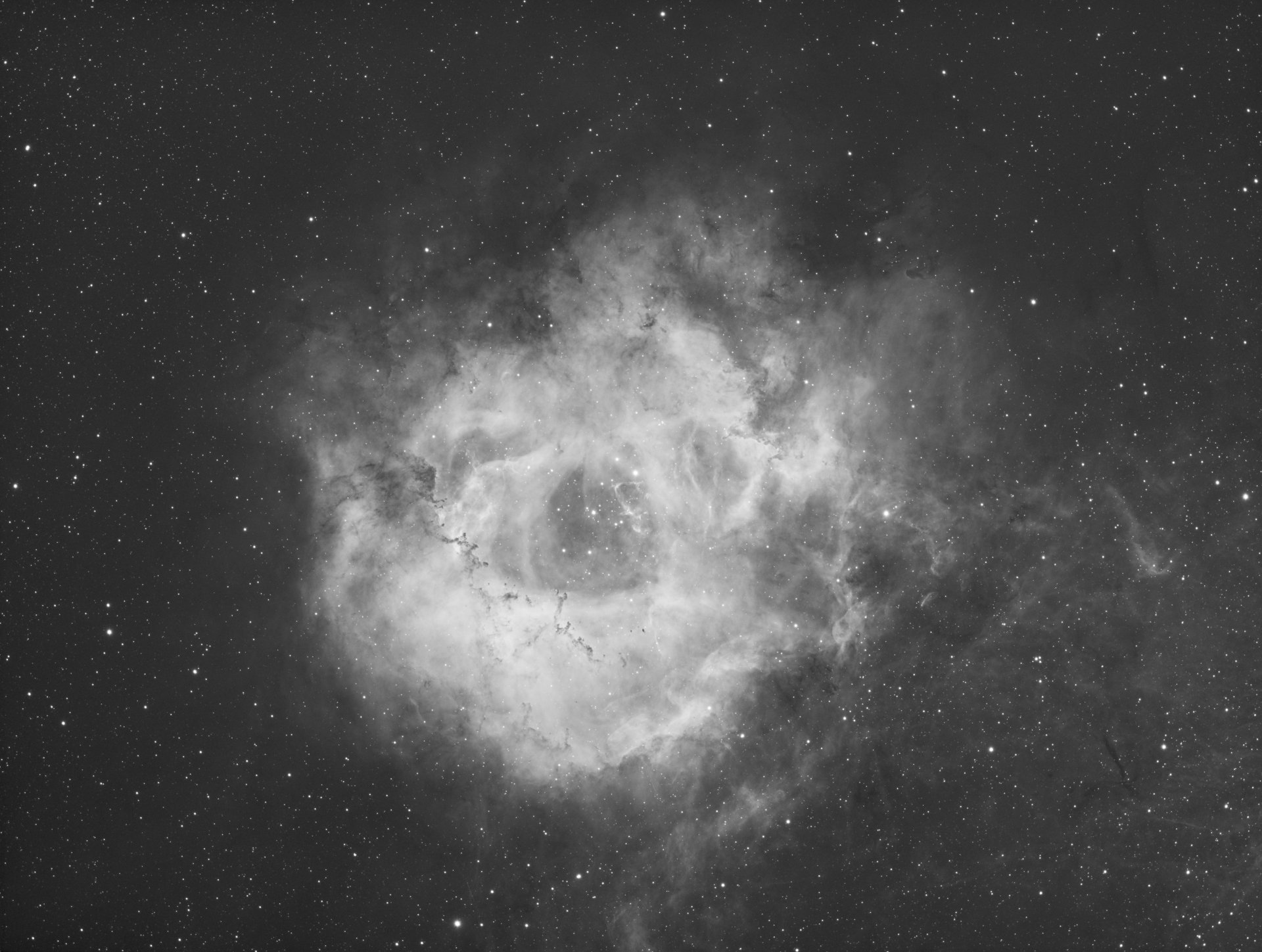 Rosette  2 dunkler.jpg