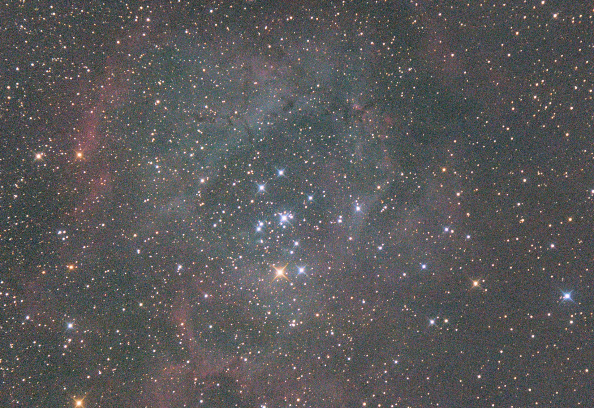 Rosette-crop.jpg