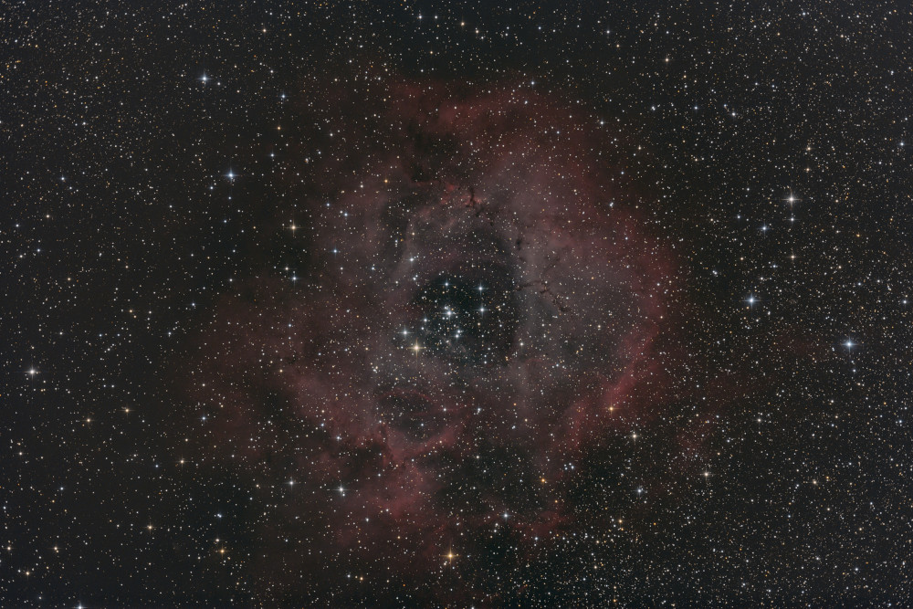 Rosette_klein.jpg