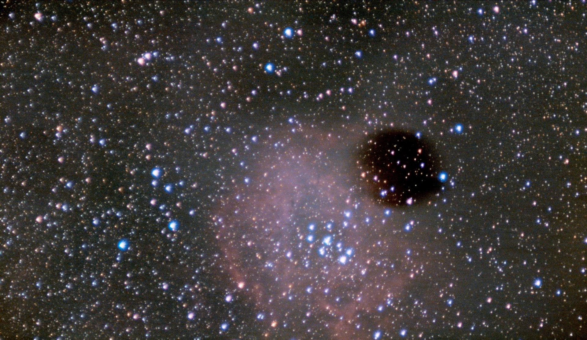 rosette_test-RGB-rosette_test-crop-lpc-cbg-csc-St.jpg