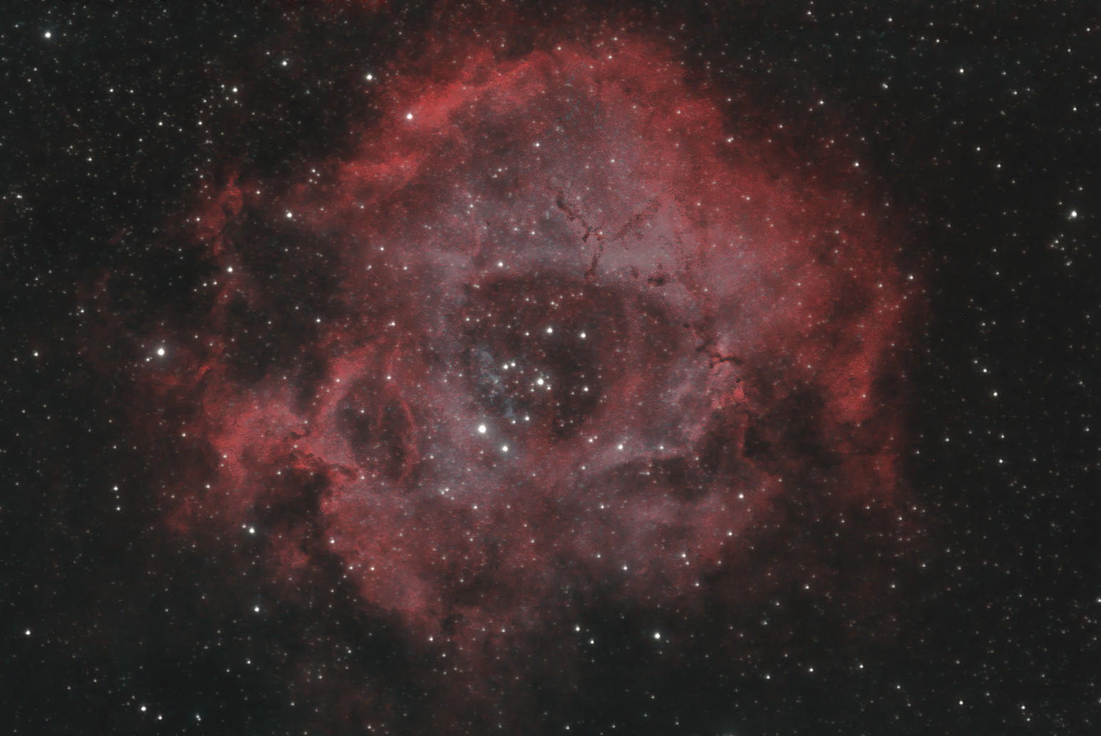 rosettennebel-oiii-280124-135mmc.jpg