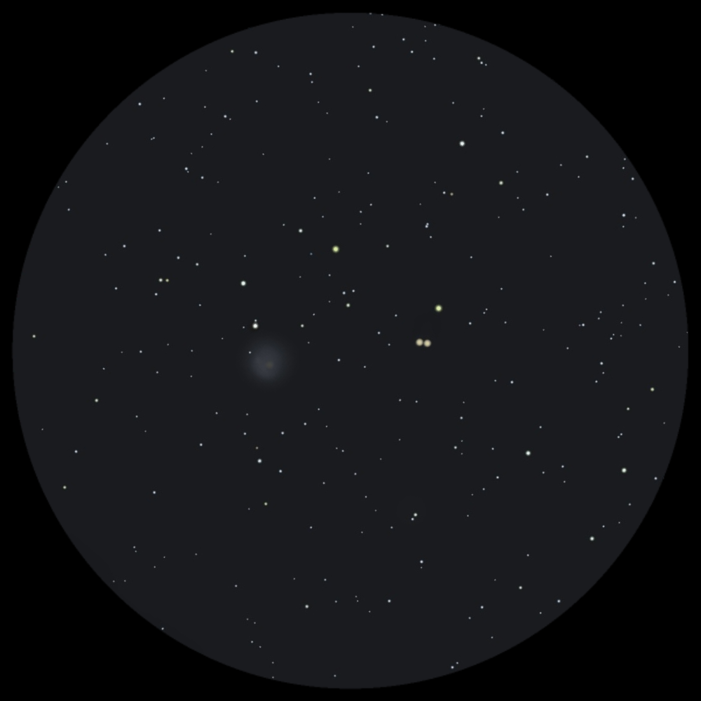 Round Photo_Jul152023_152130.png