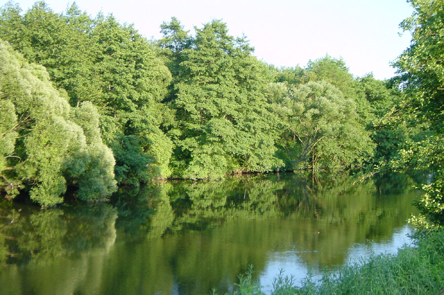 saar.jpg