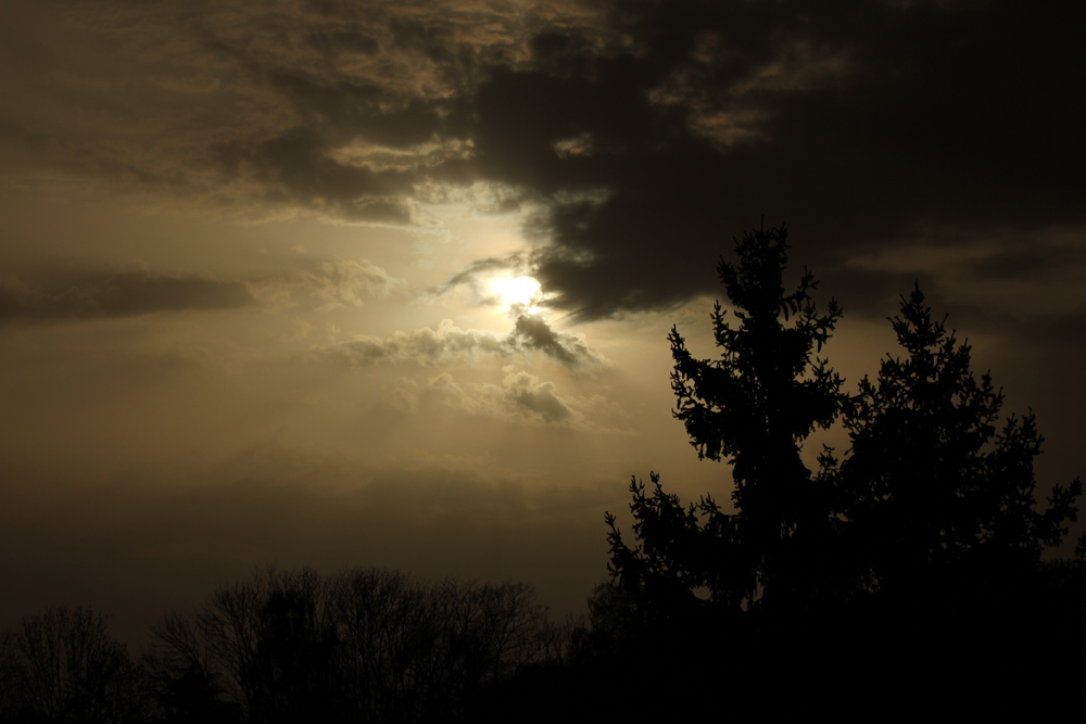 saharastaub_240408.jpg