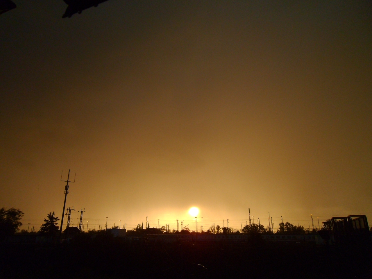 SANY0331_MaxF.jpg